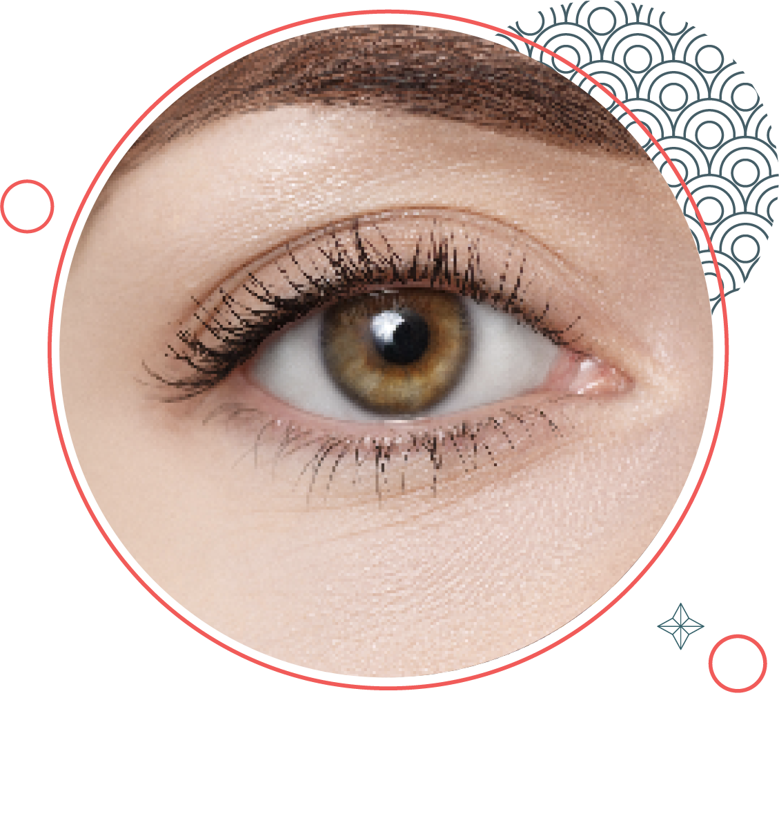PROCESO DE CUERPO Corrección de la Visión